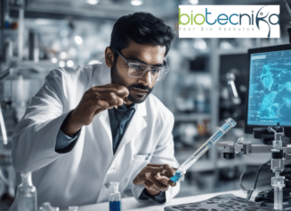 Senior Research Associate at Lumanity