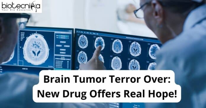 Brain Tumor