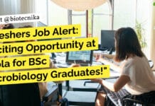 Freshers Job Alert: Exciting Opportunity at Cipla for BSc Microbiology Graduates! Fresher Job at Cipla - BSc Microbiology