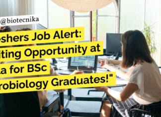 Fresher Job at Cipla - BSc Microbiology