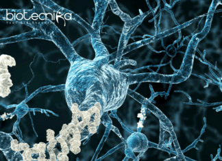 Alzheimer's Risk Factor