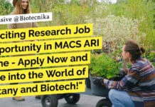 Exciting Research Job Opportunity in MACS ARI Pune – Apply Now and Dive into the World of Botany and Biotech! "Exciting Research Job Opportunity in MACS ARI Pune - Apply Now and Dive into the World of Botany and Biotech!"