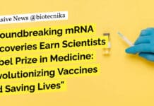 "Groundbreaking mRNA Discoveries Earn Scientists Nobel Prize in Medicine: Revolutionizing Vaccines and Saving Lives"