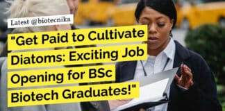 "Get Paid to Cultivate Diatoms: Exciting Job Opening for BSc Biotech Graduates!"