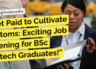 "Get Paid to Cultivate Diatoms: Exciting Job Opening for BSc Biotech Graduates!"