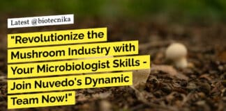 "Revolutionize the Mushroom Industry with Your Microbiologist Skills - Join Nuvedo's Dynamic Team Now!"