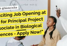 Exciting Job Opening at NII for Principal Project Associate in Biological Sciences – Apply Now! PhD Biological Sciences NII Job Opening - Applications Invited Now!