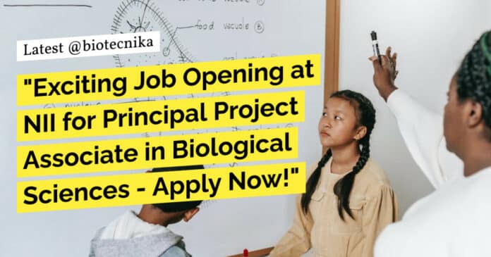 PhD Biological Sciences NII Job Opening - Applications Invited Now!