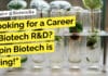 Looking for a Career in Biotech R&D? Lupin Biotech is Hiring! "Looking for a Career in Biotech R&D? Lupin Biotech is Hiring!"