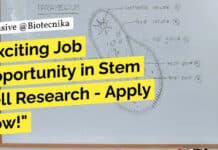 Exciting Job Opportunity in Stem Cell Research @ CSCR For Msc & Mtech "Exciting Job Opportunity in Stem Cell Research - Apply Now!"