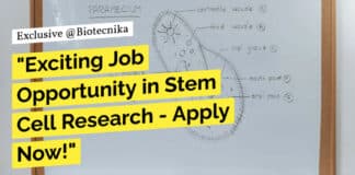"Exciting Job Opportunity in Stem Cell Research - Apply Now!"