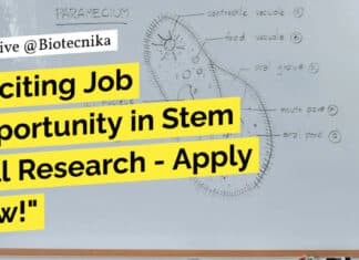 "Exciting Job Opportunity in Stem Cell Research - Apply Now!"