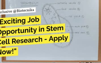 "Exciting Job Opportunity in Stem Cell Research - Apply Now!"