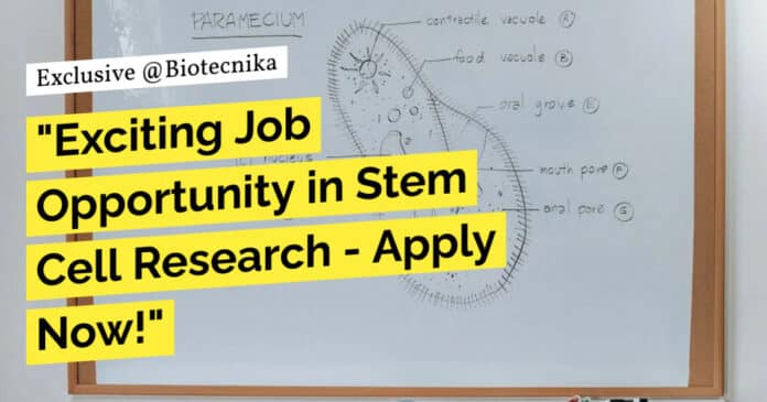 "Exciting Job Opportunity in Stem Cell Research - Apply Now!"