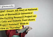 URGENT: Dream Job Alert at National Institute of Biomedical Genomics! Join the Exciting Research Project on Stem Cells and Diabetic Foot Ulcers as a Project Assistant! Walk-in Interview on Thursday! NIBMG Research Project Job For MSc Life Sciences