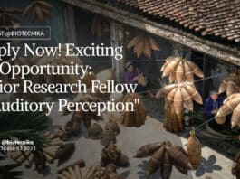 "Apply Now! Exciting Job Opportunity: Senior Research Fellow in Auditory Perception"