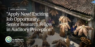 "Apply Now! Exciting Job Opportunity: Senior Research Fellow in Auditory Perception"