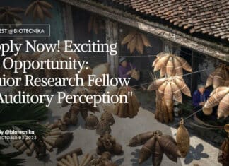 "Apply Now! Exciting Job Opportunity: Senior Research Fellow in Auditory Perception"