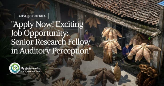 "Apply Now! Exciting Job Opportunity: Senior Research Fellow in Auditory Perception"