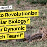 Tropical Animal Genetics Hiring For Research Scientist (Molecular Biology) Career at Tropical Animal Genetics