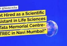 Get Hired as a Scientific Assistant in Life Sciences at Tata Memorial Centre- ACTREC in Navi Mumbai! "Get Hired as a Scientific Assistant in Life Sciences at Tata Memorial Centre- ACTREC in Navi Mumbai!"