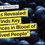 "Secrets Revealed: Study Finds Key Differences in Blood of Long-Lived People"