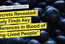 "Secrets Revealed: Study Finds Key Differences in Blood of Long-Lived People"