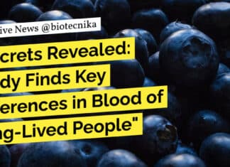 "Secrets Revealed: Study Finds Key Differences in Blood of Long-Lived People"