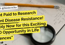 Get Paid to Research Plant Disease Resistance! Apply Now for this Exciting PhD Opportunity in Life Sciences "Get Paid to Research Plant Disease Resistance! Apply Now for this Exciting PhD Opportunity in Life Sciences"