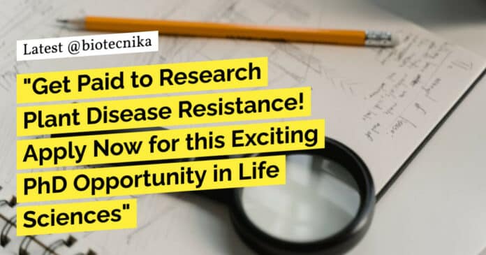 "Get Paid to Research Plant Disease Resistance! Apply Now for this Exciting PhD Opportunity in Life Sciences"