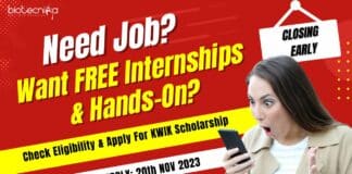 KWIK Scholarship 2023