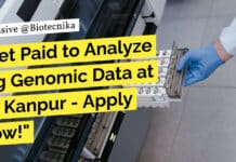Get Paid BIG to Analyze Big Genomic Data at IIT Kanpur – Apply Now! IIT Kanpur Bioinformatics Analyst Recruitment - Apply Online