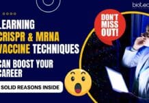 CRISPR & mRNA Vaccine Technology