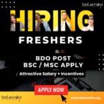 Freshers Jobs