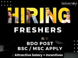 Freshers Jobs