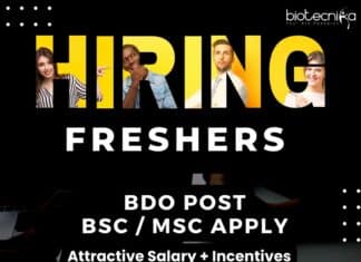 Freshers Jobs