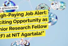 High-Paying Job Alert: Exciting Opportunity as Junior Research Fellow (JRF) at NIT Agartala! "High-Paying Job Alert: Exciting Opportunity as Junior Research Fellow (JRF) at NIT Agartala!"