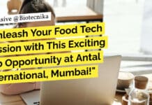 Unleash Your Food Tech Passion with This Exciting Job Opportunity at Antal International, Mumbai! BSc Food Tech Job Recruitment at Antal International, Apply Online