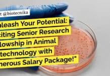 Unleash Your Potential: Exciting Senior Research Fellowship in Animal Biotechnology with Generous Salary Package! NIAB Mol Bio SRF Job Opening - Applications Invited