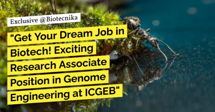 "Get Your Dream Job in Biotech! Exciting Research Associate Position in Genome Engineering at ICGEB"