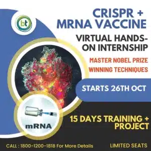 internship