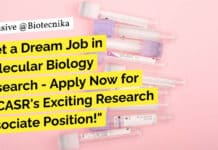 Get a Dream Job in Molecular Biology Research – Apply Now for JNCASR’s Exciting Research Associate Position! "Get a Dream Job in Molecular Biology Research - Apply Now for JNCASR's Exciting Research Associate Position!"