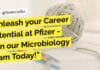 Unleash your Career Potential at Pfizer – Join our Microbiology Team Today! Associate Manager Microbiology Recruitment at Pfizer, Apply Now!