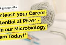 Unleash your Career Potential at Pfizer – Join our Microbiology Team Today! Associate Manager Microbiology Recruitment at Pfizer, Apply Now!