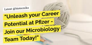 Associate Manager Microbiology Recruitment at Pfizer, Apply Now!