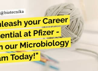Associate Manager Microbiology Recruitment at Pfizer, Apply Now!