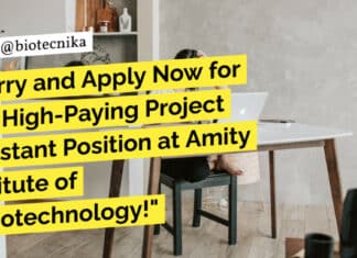 Project Assistant at Amity Institute of Nanotechnology