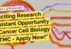 Exciting Research Assistant Opportunity in Cancer Cell Biology at TMC – Apply Now! Research Assistant in Cancer Cell Biology Recruitment at TMC, Apply Now!