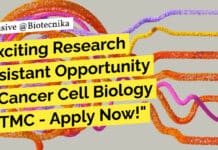 Research Assistant in Cancer Cell Biology Recruitment at TMC, Apply Now!
