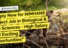 Apply Now for NIMHANS Project Job in Biological & Life Sciences – High Salary and Exciting Opportunities! NIMHANS Biological & Life Sciences Project Job Opening - Apply Online